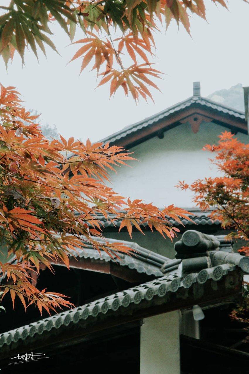 香蜜沉沉烬如霜装扮
